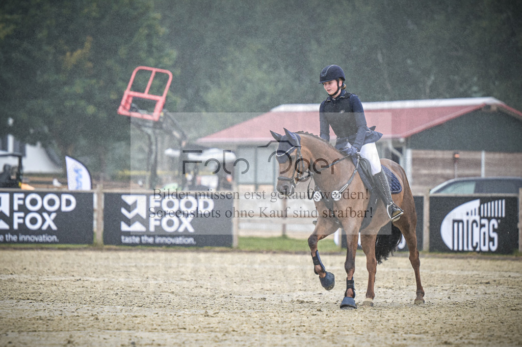 DOS_0262 | Entdecke hochwertige Reitturnierfotos von Foto Oger. Professionell, emotional und authentisch – jetzt Lieblingsmomente im Shop bestellen.Deutschlandweite Turnierfotografie. - Realisiert mit Pictrs.com
