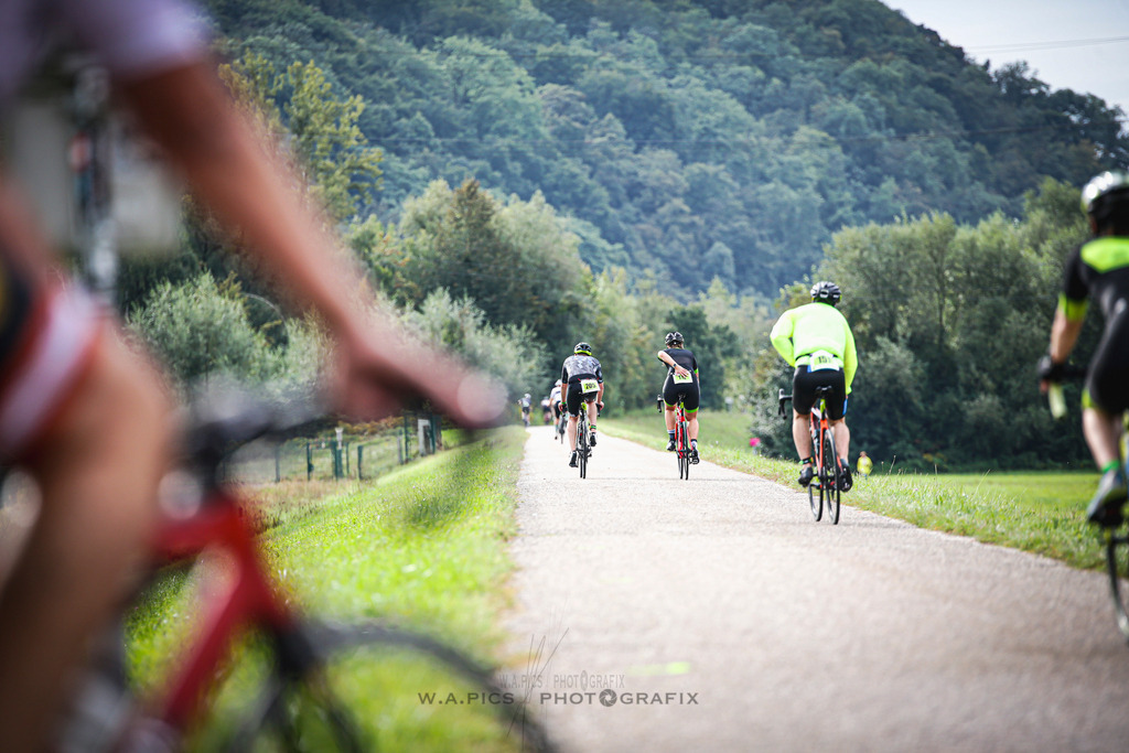 TRIRUN LINZ TRIATHLON 2025 | AUSTRIA, 14.09.2025, Linz, TRIRUN LINZ TRIATHLON 2025, Photo: WAPICS / Andreas Willdoner