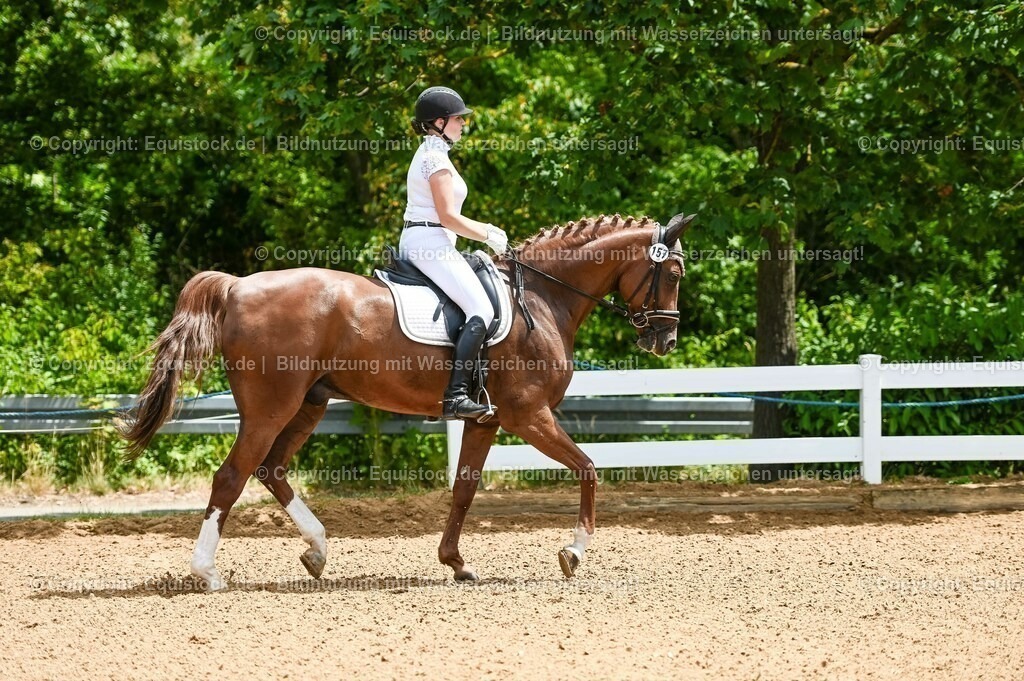 20230715_05_Dressurprüfung Kl.A++_0019 | equistock