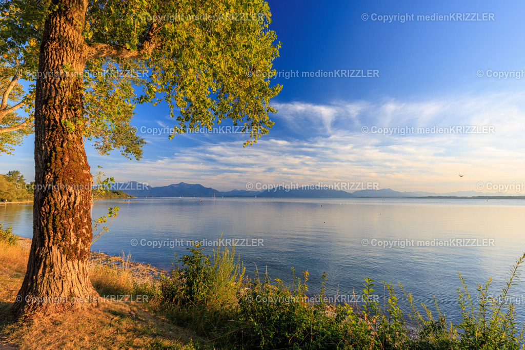 _J3A8432 | medienkrizzler - Realisiert mit Pictrs.com