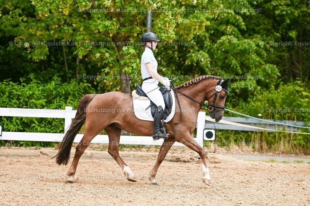 20230715_05_Dressurprüfung Kl.A++_0211 | equistock