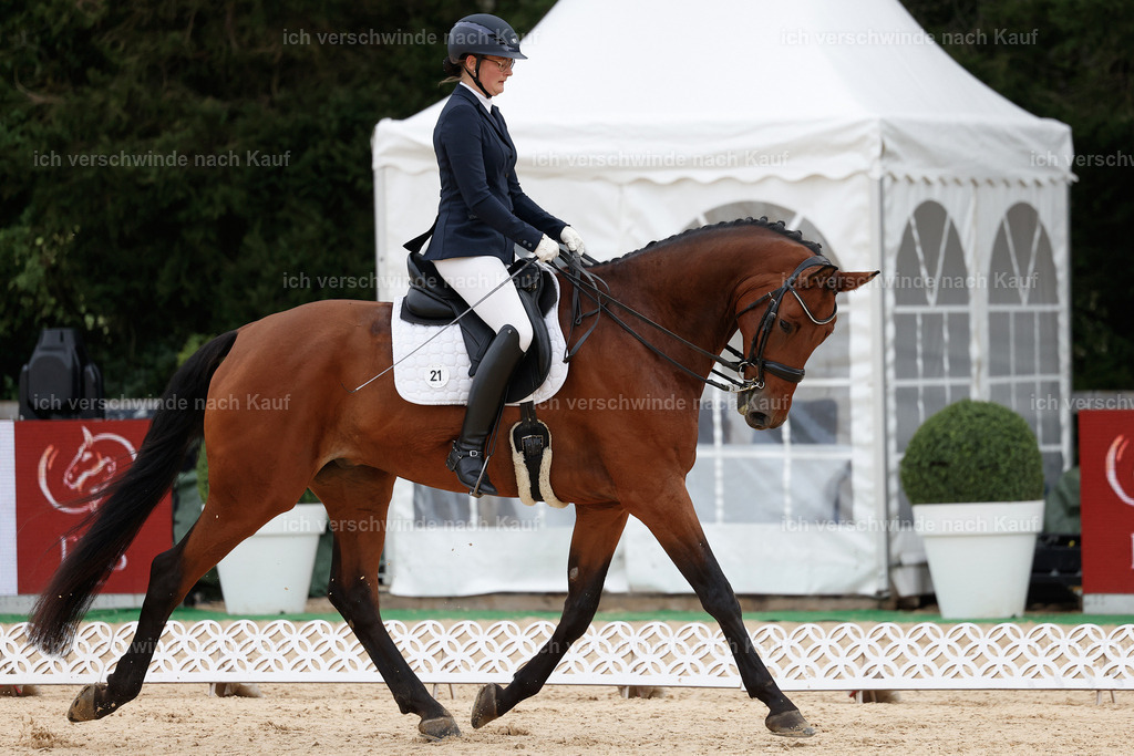 3-021-Dressur M_-StoibPH-2272 | working equitationturnier fotograf videograf stoibphotography marixx film working equitation deutschland reitsport turnierfotografie eventfotografie equestrian events
