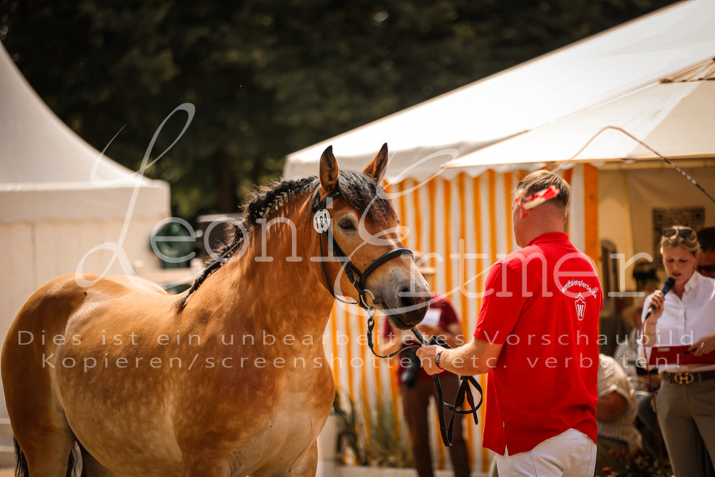 2.Sa00089 | Leoni Ertmer Photography - Realisiert mit Pictrs.com