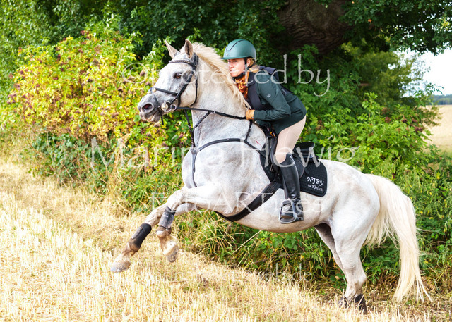 Jagd Knoop 26_MarinaHewigMCH02510 | Fotografie, FotoArt, PferdesportArt, Pferdesportfotografie, Landschaftsfotografie, Reisefotografie, Reise, Pferde - Realisiert mit Pictrs.com