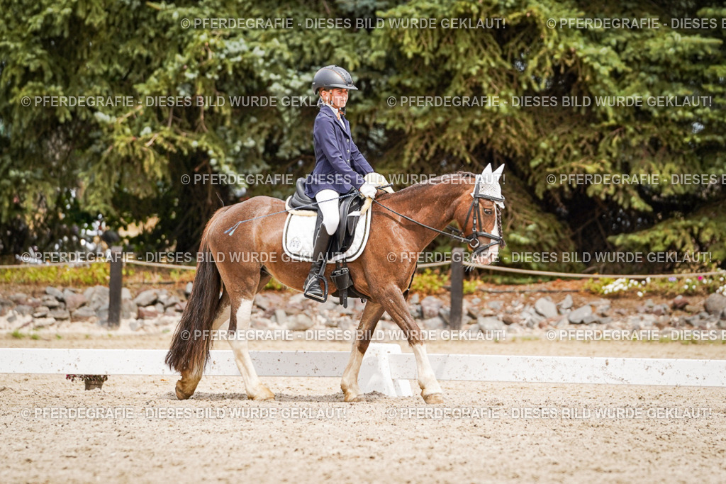 DSC04335 | Pferdegrafie