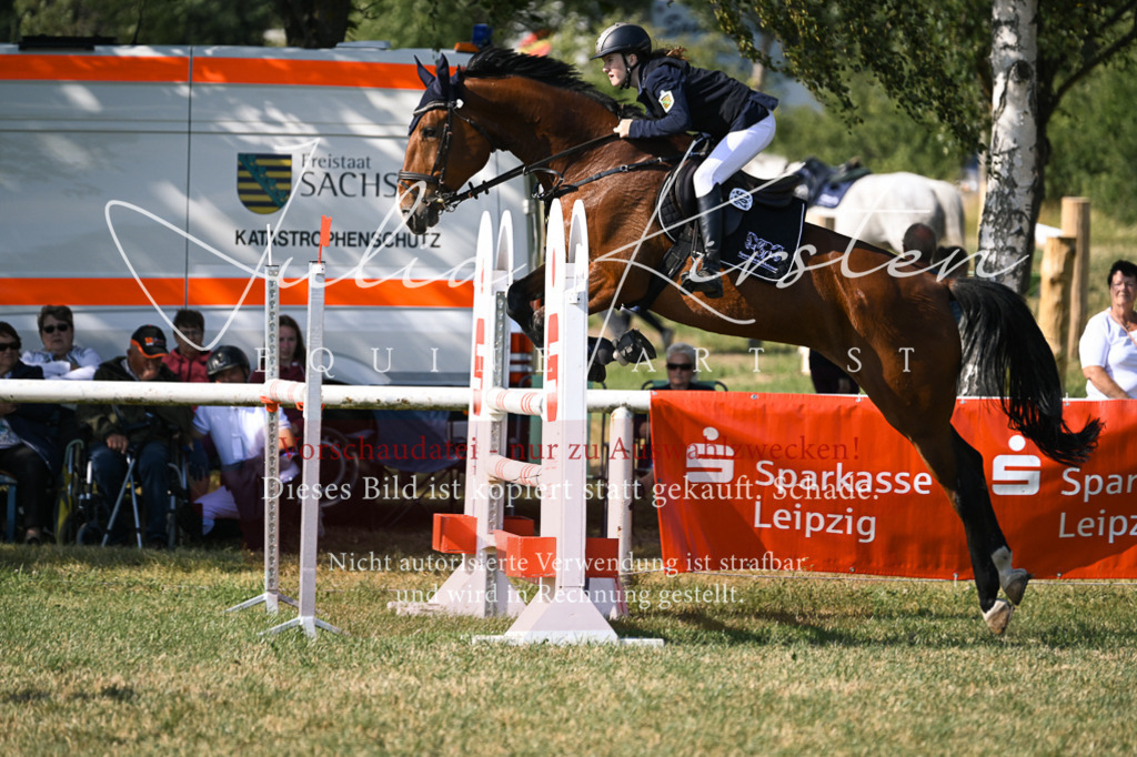 DSC_1315 | Pferde- und Turnierfotografie in Westsachsen. Pferdeportraits, Auftragszeichnungen und intuitive Kunst.