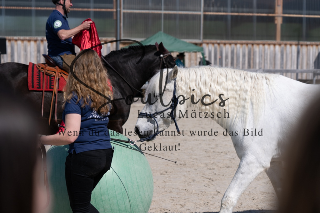 A7V01862 | Pferdefotograf