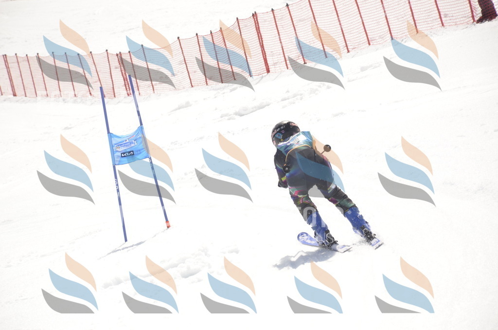 _ELE9272 | holidayphoto