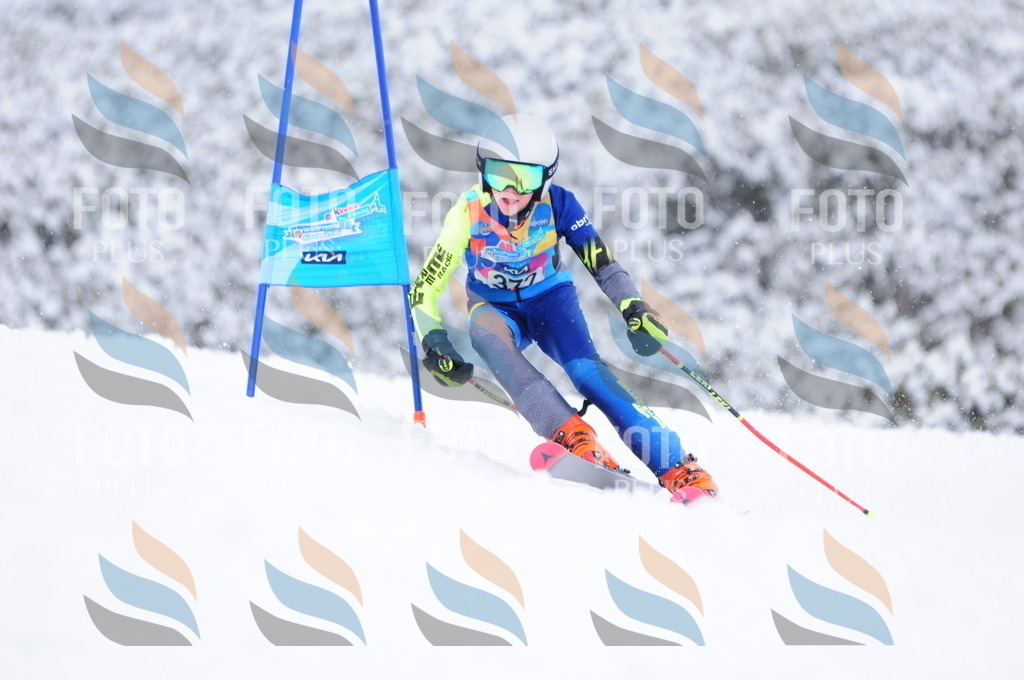 C3960 | holidayphoto