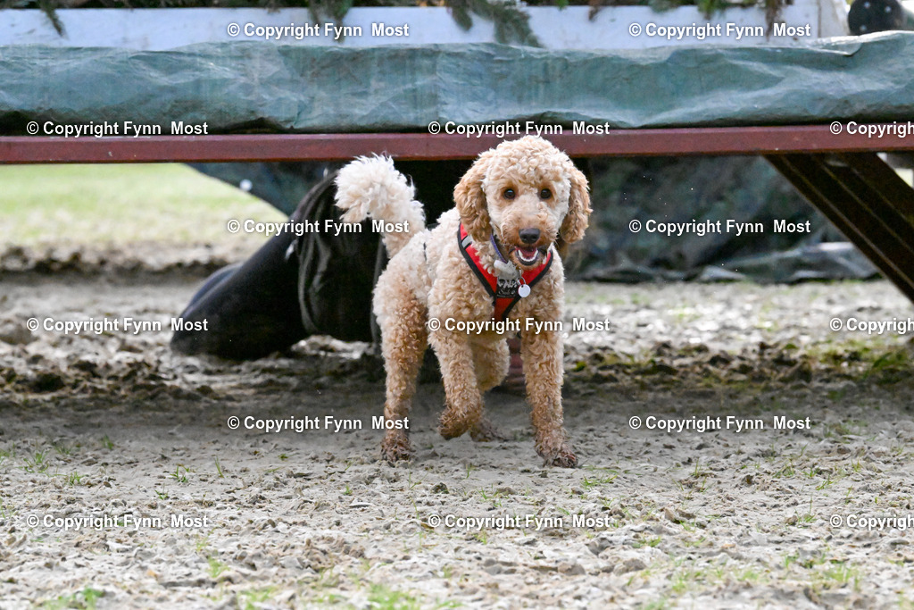 DSC_3628 | Hallo und herzlich Willkommen auf meiner Shop-Seite Fynn Most.

Ich wünsche Dir viel Spaß beim stöbern durch die Bilder, wenn Du Fragen hast oder Bilder vermisst, kannst du mir gerne eine Nachricht schreiben. - Realisiert mit Pictrs.com