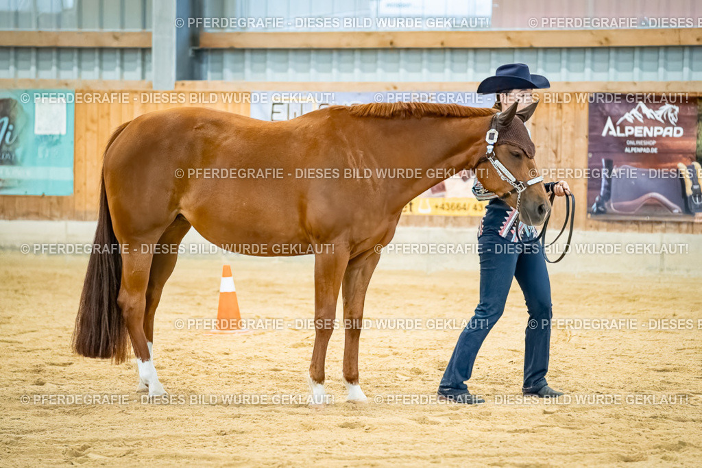 DSC09691 | Pferdegrafie