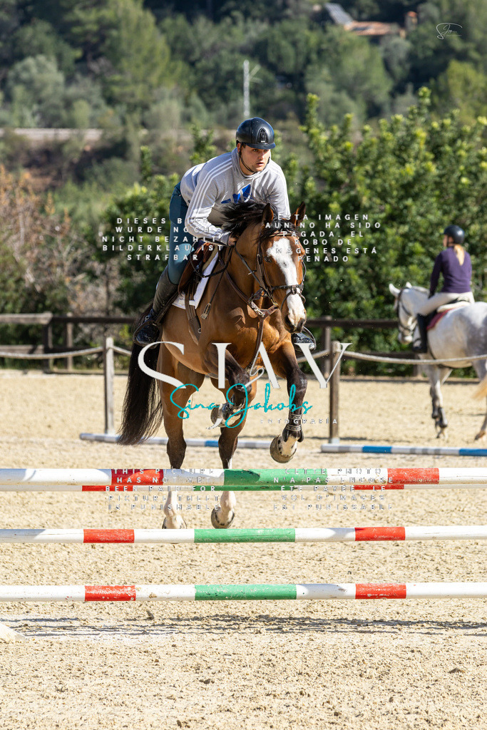 IMG_4152 | s-jay-photography - Realisiert mit Pictrs.com