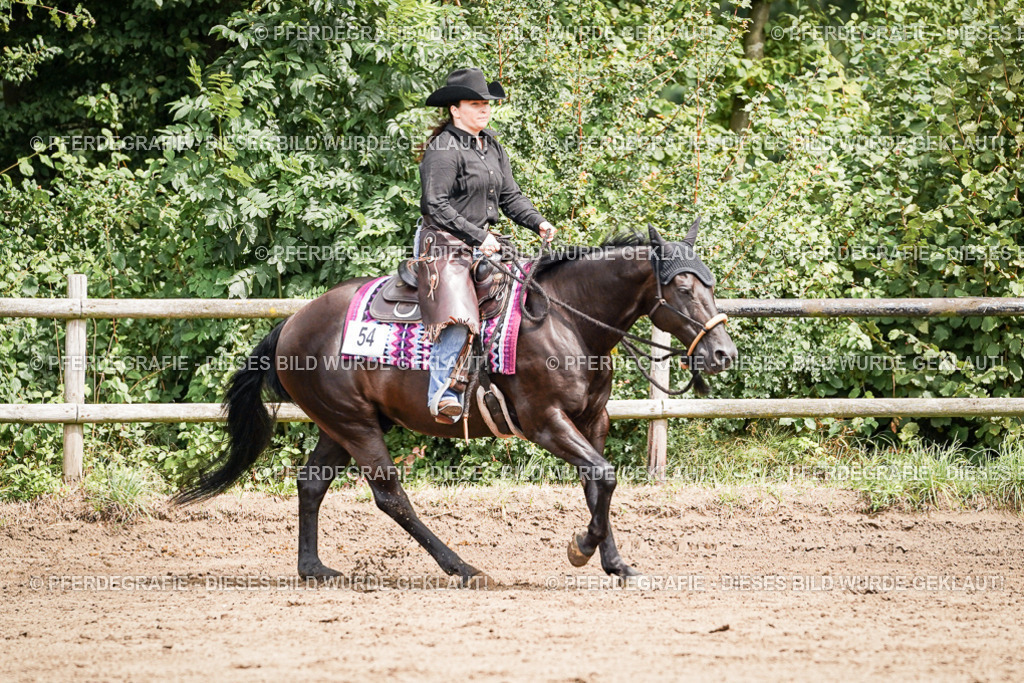 DSC07007 | Pferdegrafie