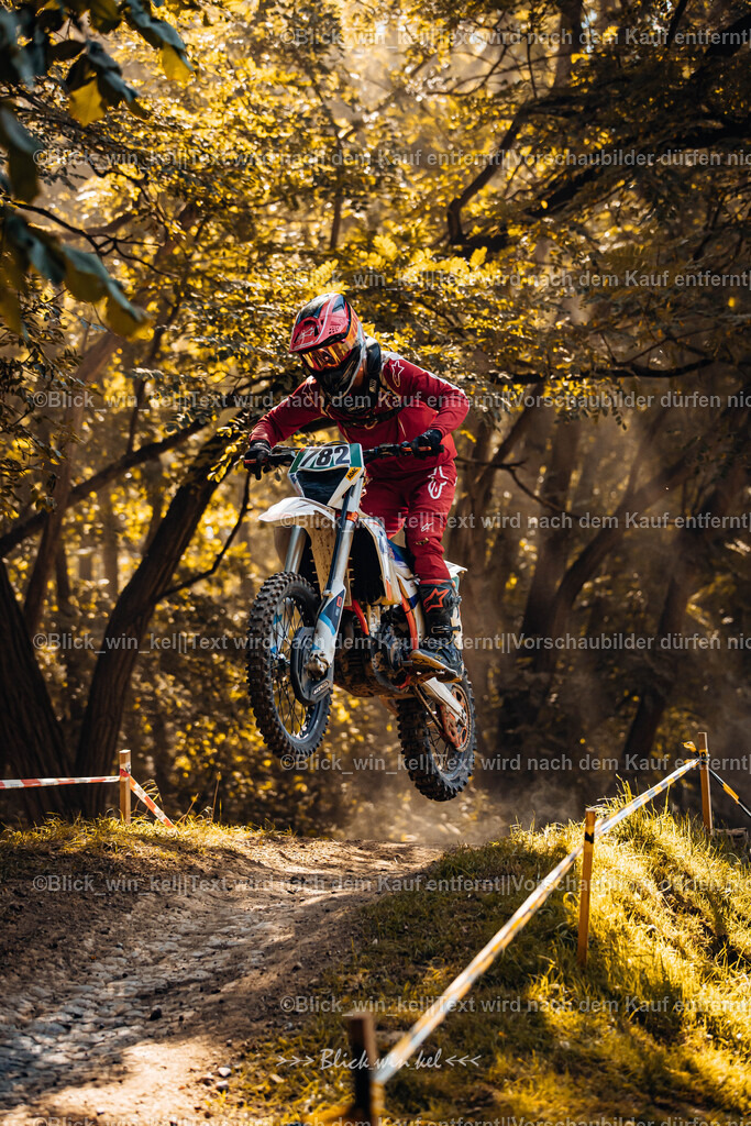 E68A6554 | blick_win_kel