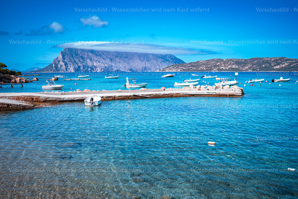 DSC09689 | marcuslinek