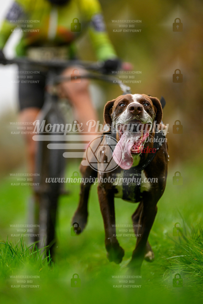 MompixPhotography_20TSB_E8_DS1-46 | PayLife