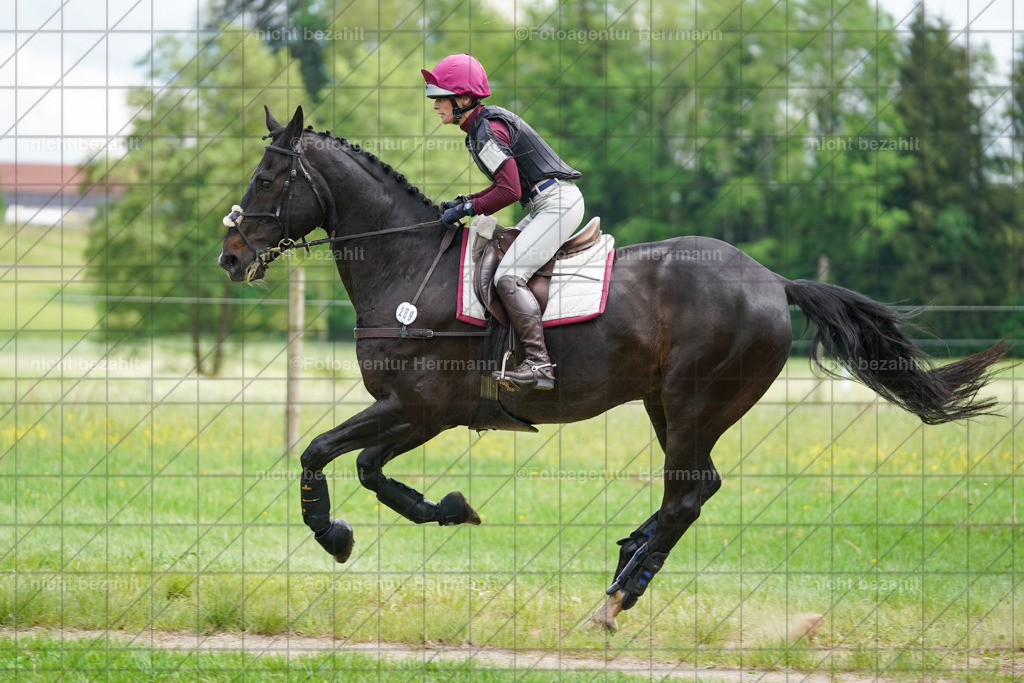 20240518-FAH03840 | Turnierbilder von Niederseon, Turnierfotografen Bayern, Fotoagentur Herrmann, Geländebilder, Reitsportfotografie