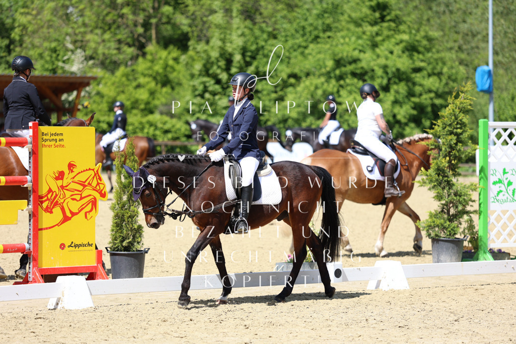 IMGS2498 | pl-fotografie