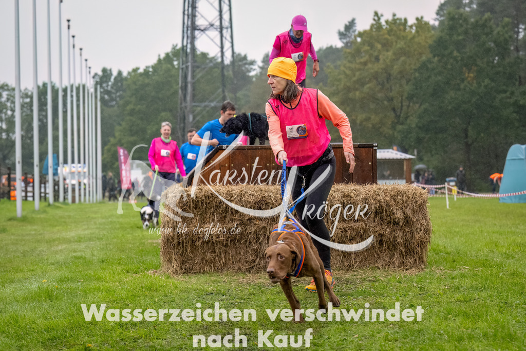 1005--27 | kk-dogfotos