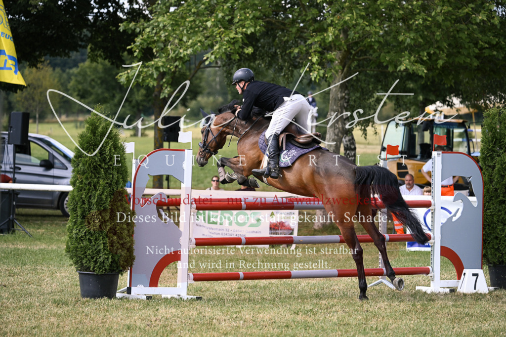 DSC_0758 | Pferde- und Turnierfotografie in Westsachsen. Pferdeportraits, Auftragszeichnungen und intuitive Kunst.