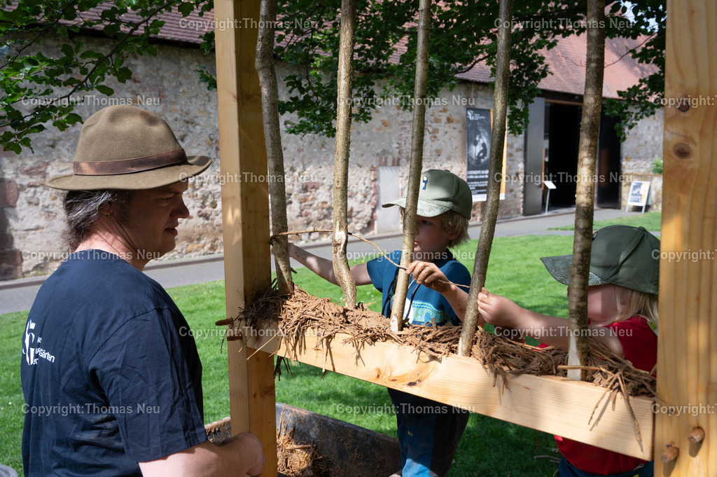 Wissen-waechst-im-Garten-Lorsch-KLoster-fotografie-thomas-neu.jpg6 | Lorsch, Klostergelände,KLoster Lorsch : Wissen wächst im Garten,mit dem Architekten Christoph Haarmann wurde gezeigt wie ein fachwerkhaus gebaut wird, ,Bild: THomas Neu