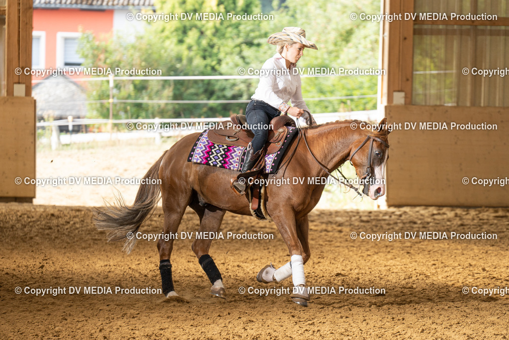 LAU01464 | dv-media-shop - Realisiert mit Pictrs.com