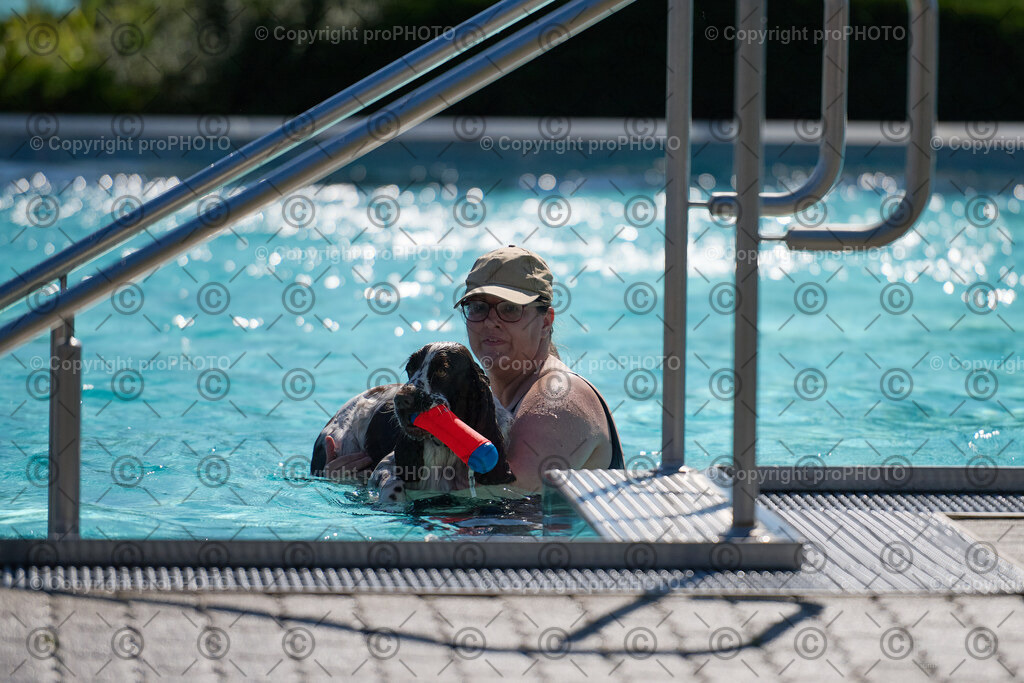 109_202509_4Hundebadetag_NZ9_2462 | proPHOTO - Realisiert mit Pictrs.com