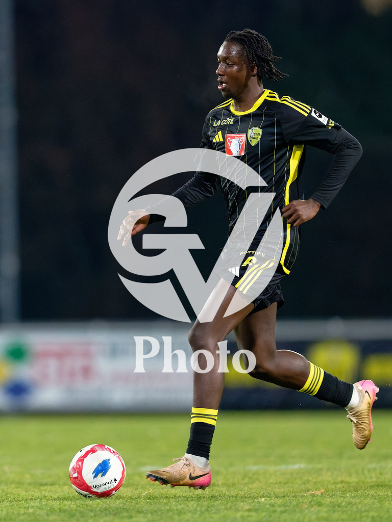 Coupe Suisse - 1/8 de finale - FC Stade Nyonnais v Neuchatel Xamax |  during the Coupe Suisse - 1/8 de finale match between FC Stade Nyonnais and Neuchatel Xamax at Centre sportif de Colovray in Nyon, Switzerland