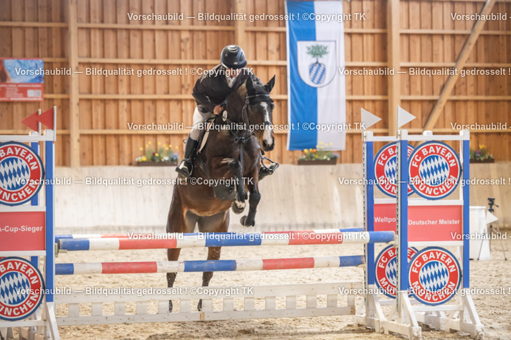 _D5A8274 | Emotionale Pferde- & People-Fotografie rund um Heidelberg, Leimen & Umgebung. Natürliche Fotos von Pferd, Mensch & Familie. Jetzt Termin sichern!