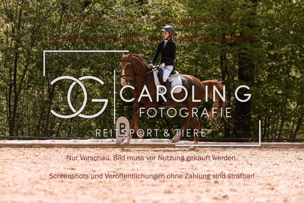DSC_0358 | Turnierfotografin Carolin Gieschke, Turnierfotografie Carolin G Fotografie, Turnierfotos Kirchheim/Teck, Esslingen, Stuttgart, Bodenseekreis