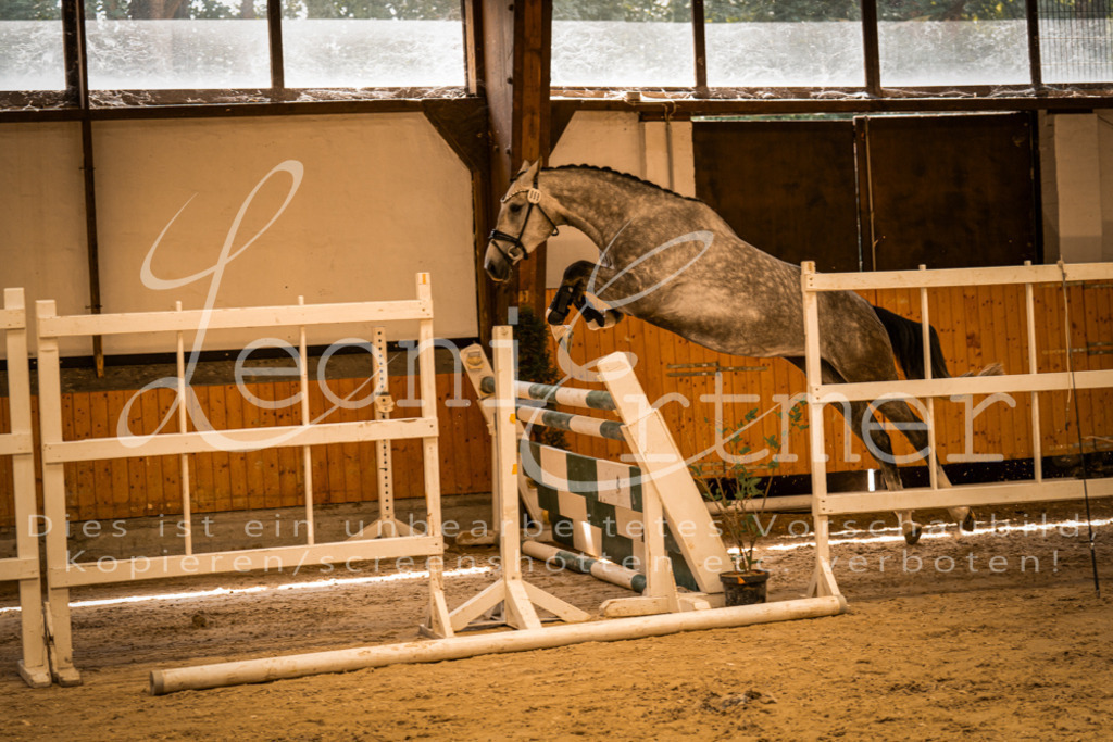 FrFS00010 | Leoni Ertmer Photography - Realisiert mit Pictrs.com