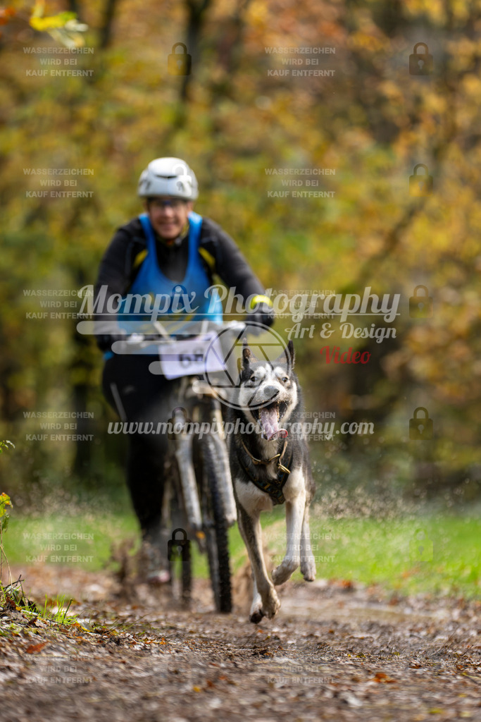MompixPhotography_Bischwiller23_Bike-57 | PayLife