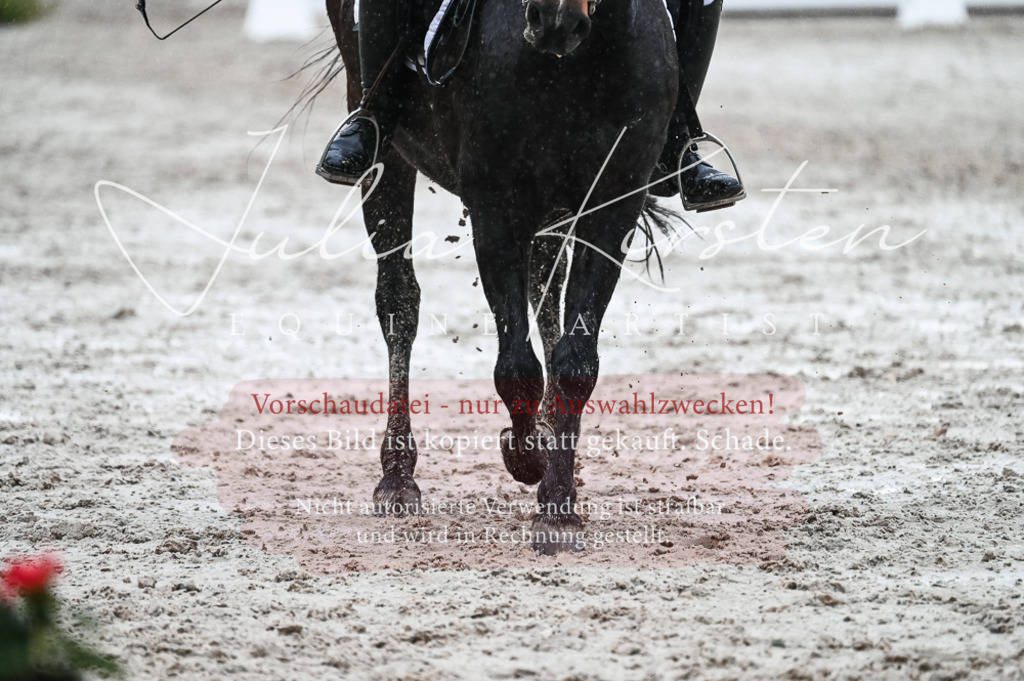 DSC_4651 | Pferde- und Turnierfotografie in Westsachsen. Pferdeportraits, Auftragszeichnungen und intuitive Kunst.