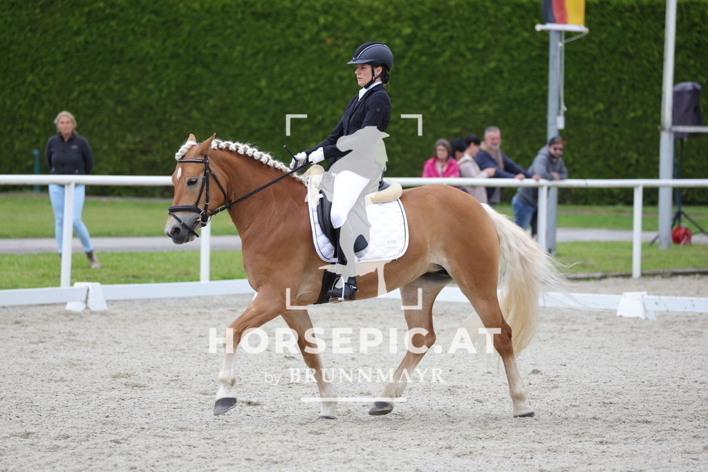0P6A5236 | Willkommen bei Brunnmayr - Design & Fotografie – Ihrem Spezialisten für Reitturniere und Pferdeveranstaltungen in Oberösterreich, Salzburg und Bayern! Seit über 17 Jahren sind wir leidenschaftlich dabei.