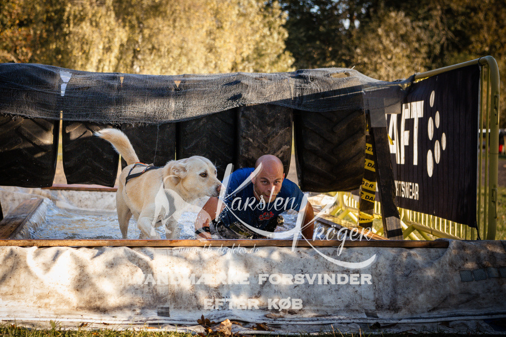 0909_ZZ90122 | kk-dogfotos