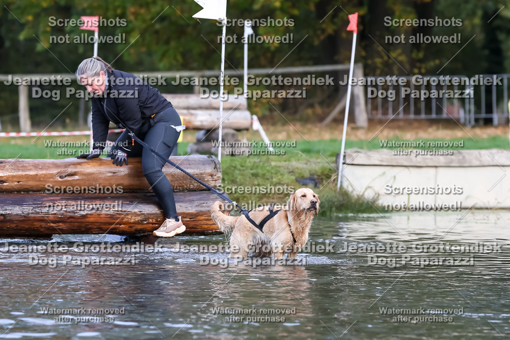 Dog Paparazzi - Strongdog 10-25-6957 | Dog Paparazzi Jeanette Grottendiek Fotografie & Videografie - Realisiert mit Pictrs.com