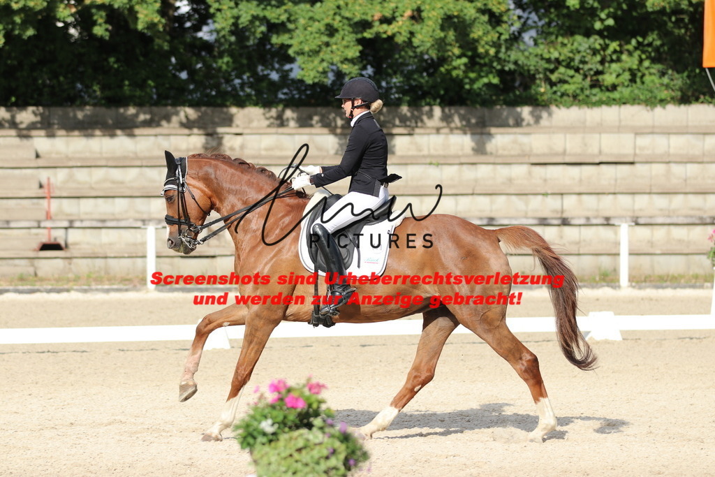 IMG_6307 | lmwpictures - Realisiert mit Pictrs.com