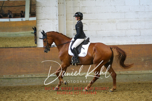 DKP43581 | Turniersportfotografie; Pferdefotografie; Dressurfotografie