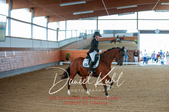 _62_7464 | Turniersportfotografie; Pferdefotografie; Dressurfotografie