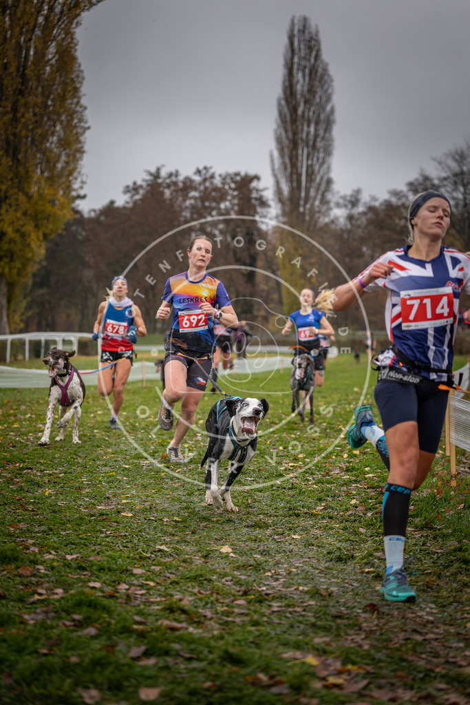 CaniXpix_DV3A9040 | Hundefotografie, Tierfotograf, Pfotenfotografie, Fotoshooting Hund, Hunde Portrait, Hundesport, Hundeportraits, Heideshooting, Hunde, Sportfotograf, Hundefotograf, Turnierhundsport, THS,  - Realisiert mit Pictrs.com