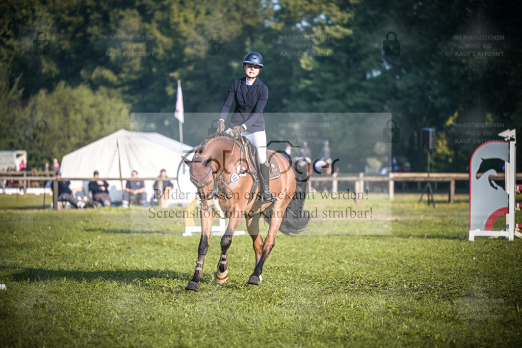 DOS_0641 | Entdecke hochwertige Reitturnierfotos von Foto Oger. Professionell, emotional und authentisch – jetzt Lieblingsmomente im Shop bestellen. - Realisiert mit Pictrs.com