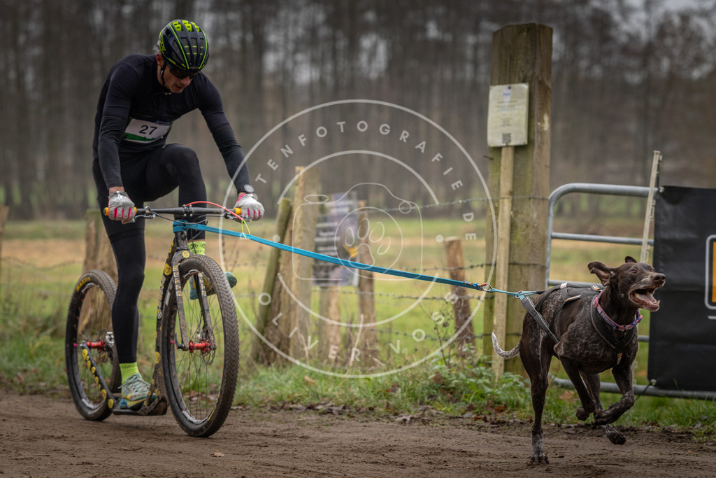 Pfotenfotografie_DV3A2174 | Hundefotografie, Tierfotograf, Pfotenfotografie, Fotoshooting Hund, Hunde Portrait, Hundesport, Hundeportraits, Heideshooting, Hunde, Sportfotograf, Hundefotograf, Turnierhundsport, THS,  - Realisiert mit Pictrs.com