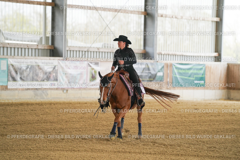 DSC06941 | Pferdegrafie