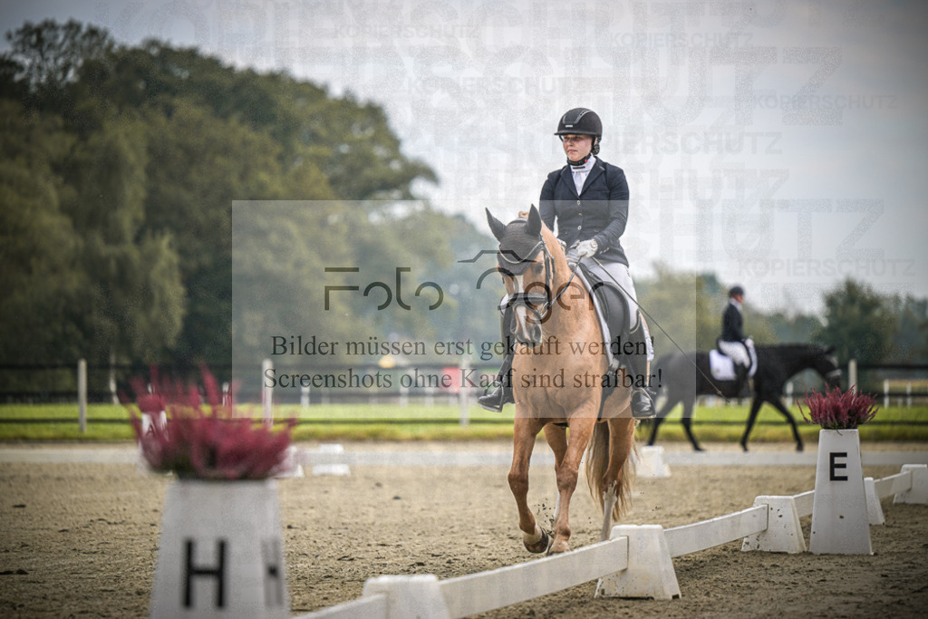 DOS_B526 | Entdecke hochwertige Reitturnierfotos von Foto Oger. Professionell, emotional und authentisch – jetzt Lieblingsmomente im Shop bestellen.Deutschlandweite Turnierfotografie. - Realisiert mit Pictrs.com