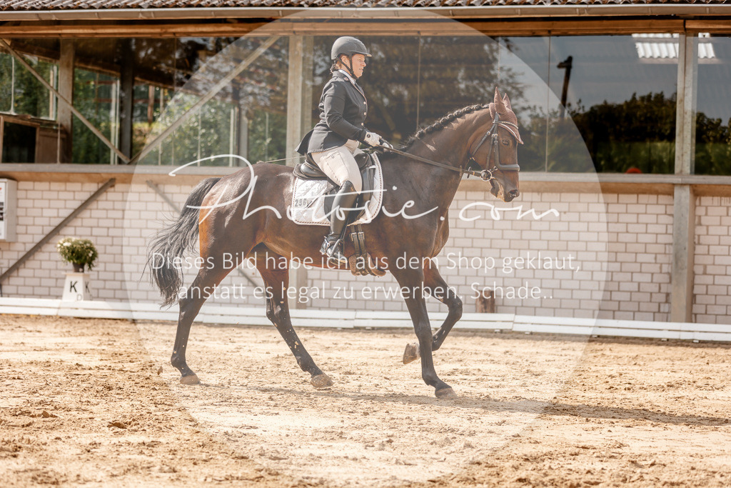 3I6A3574 | Stimmungsvolle Portraits und Reitsportfotografie im Ruhrgebiet und im Münsterland.

Pferdefotografie, Hundefotografie, Tierfotografie, Reportagen, Portraits von Tier und Mensch, Turnierfotografie in Bochum, Recklinghausen, Marl, Haltern am See, Dülmen.. - Realisiert mit Pictrs.com