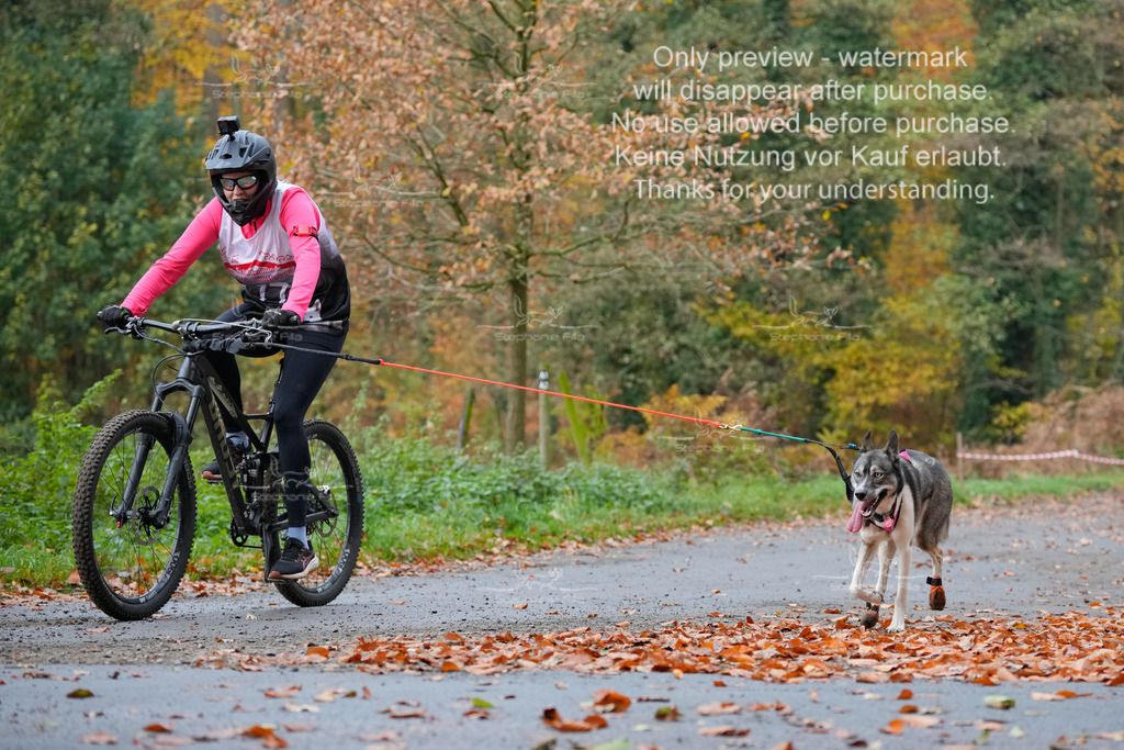 Bike_So-205 | stephaniefillaphotographie - Realisiert mit Pictrs.com
