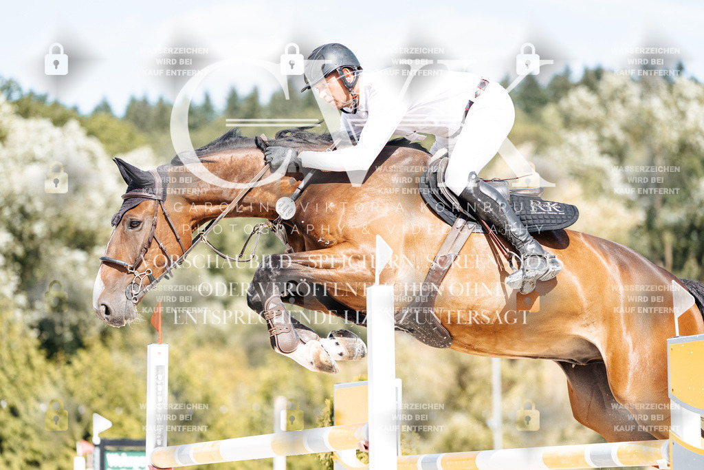 CK908930 | Turnierfotografie Pferdefotografie Trier Rheinland-Pfalz Pferdesport Reitsport Tierfotografie Sportfotografie Pferdevideo Pferdevideografie Equestrianvideography equestrianphotography  - Realisiert mit Pictrs.com