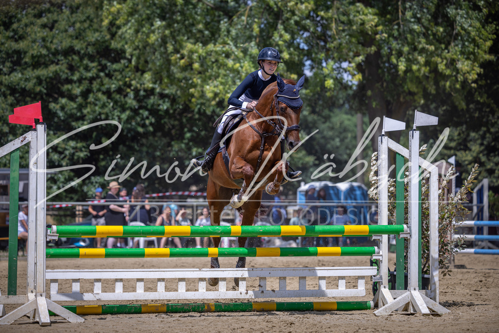 20260704-_3LI9669 | Tierfotografie Pferde, Hunde, Katzen, Haustiere.
Turnierfotografie Reitturniere, Reiten, Springreiten, Dressur in Hanau, dem Main-Kinzig-Kreis und dem Rhein-Main- Gebiet um Frankfurt