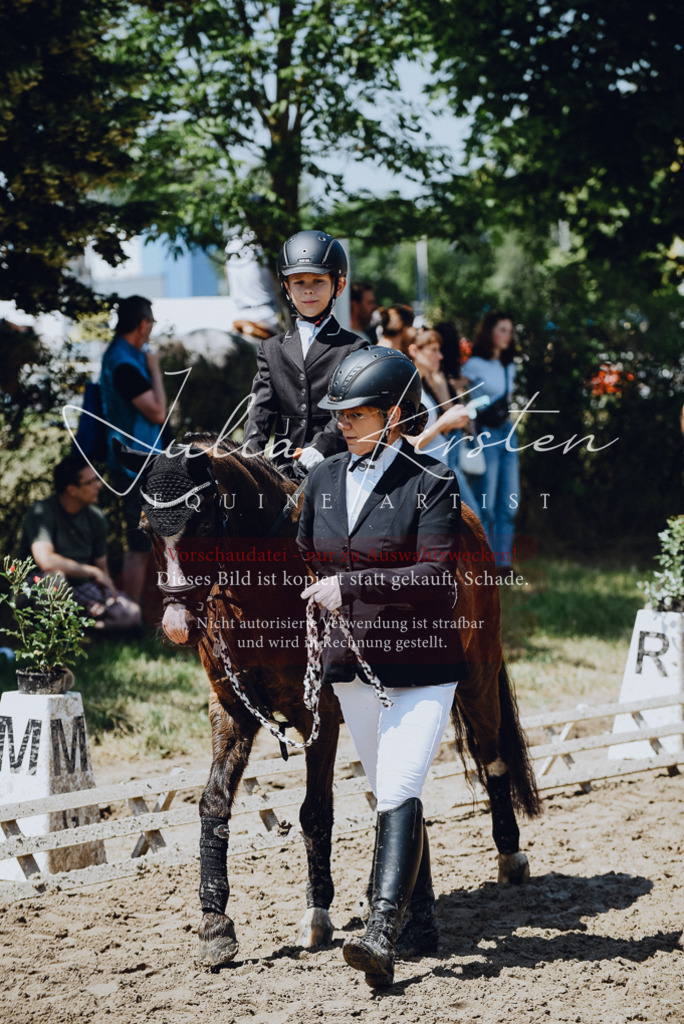DSC_2172 | Pferde- und Turnierfotografie in Westsachsen. Pferdeportraits, Auftragszeichnungen und intuitive Kunst.