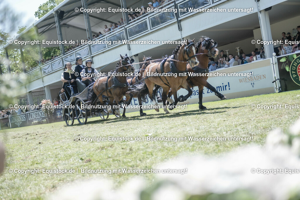 20230528_Jump-and-Drive_0261 | equistock